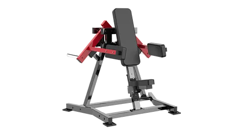 LATERAL  RAISE